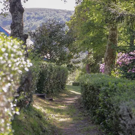 Morgado - River And By Pch Padroes (Vila Real)