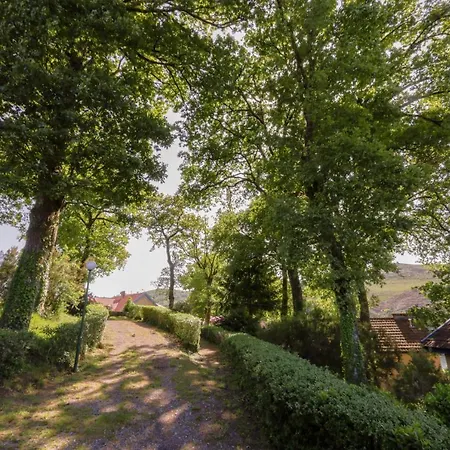 Morgado - River And By Pch * Padroes (Vila Real)