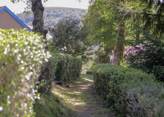 Morgado - River And By Pch Padroes (Vila Real)