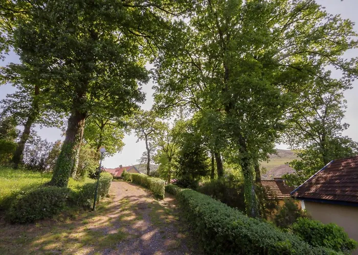 Morgado - River And By Pch * Padroes (Vila Real)